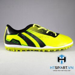 Pan Agilis Dạ Quang