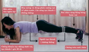 Plank hỗ trợ quá trình giảm mỡ giảm eo