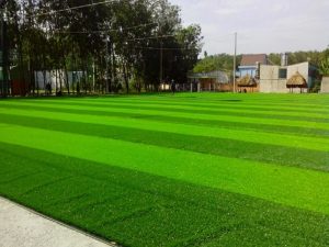 Co Nhan Tao La Gi Anh Bia