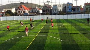 Danh Sách Sân Bóng ở Tân Phú