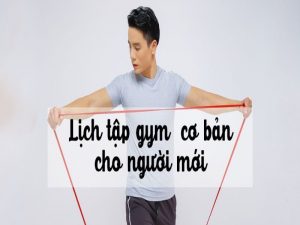Lich Tap Gym Cho Nguoi Moi