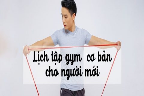 Lich Tap Gym Cho Nguoi Moi