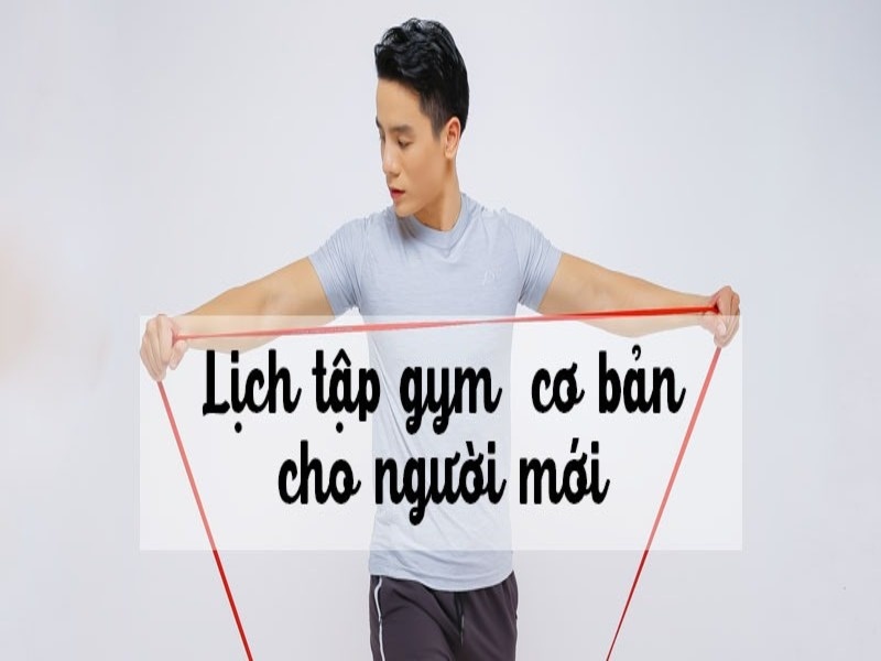 Lich Tap Gym Cho Nguoi Moi