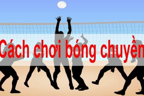 Cach Choi Bong Chuyen