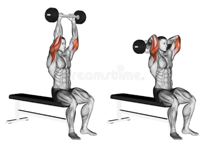 Olympic Triceps Extension 