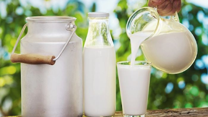 Sữa tươi giàu năng lượng và dưỡng chất tốt cho người tập gym
