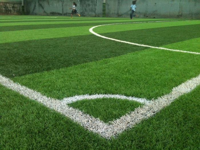 Tham khảo quy trình thi công sân bóng đá cỏ tự nhiên 4 Chăm sóc cỏ sau khi đã được thi công sân bóng đá cỏ tự nhiên