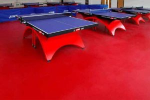 thi công thảm sân bóng bàn