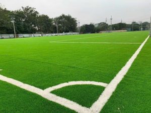 giấy phép kinh doanh sân bóng đá mini