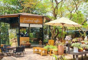 kinh doanh quán cà phê sân vườn